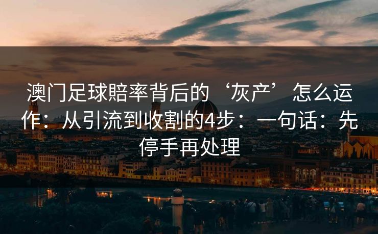 高级教练 - 林嘉敏