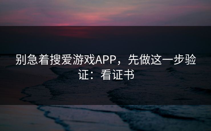 别急着搜爱游戏APP,先做这一步验证:看证书 别急着搜爱游戏APP,先做这一步验证:看证书