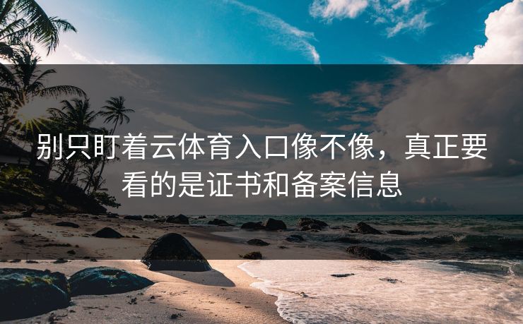 别只盯着云体育入口像不像,真正要看的是证书和备案信息 别只盯着云体育入口像不像,真正要看的是证书和备案信息